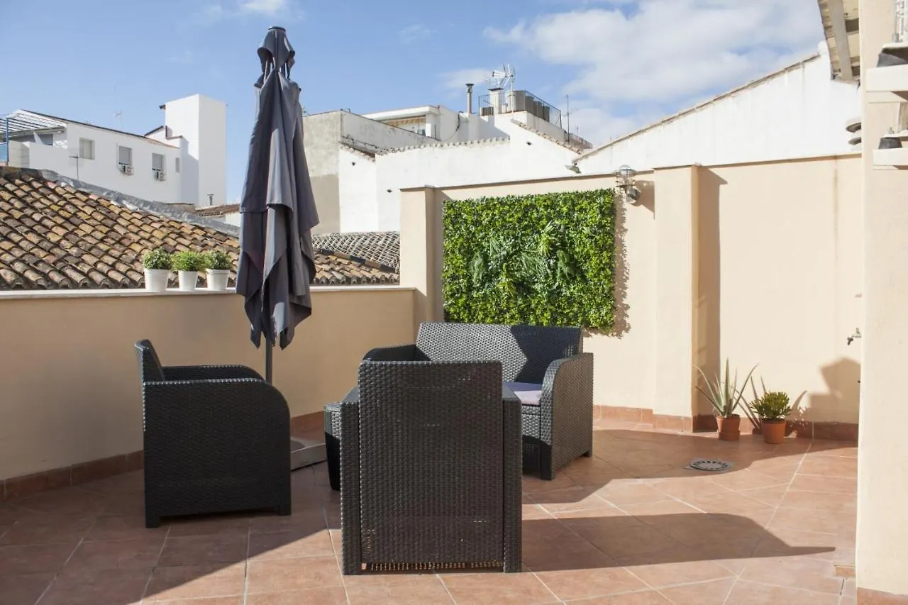 Loft In City Center Apartment Malaga
