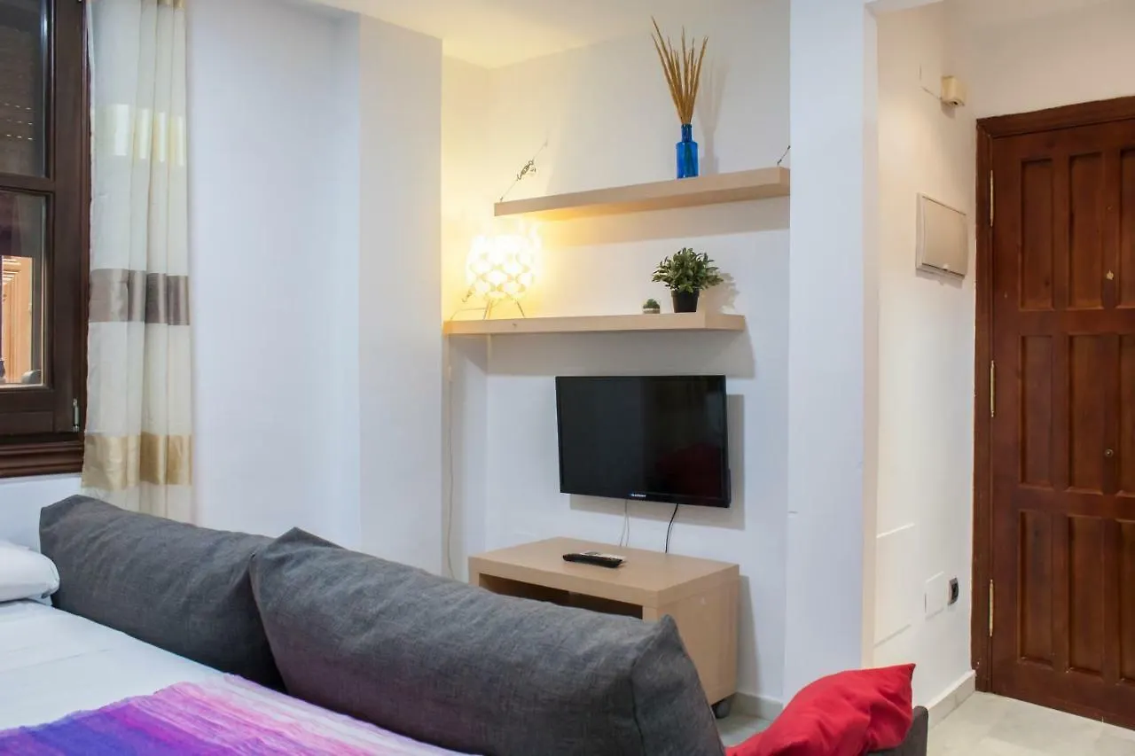 Loft In City Center Apartment Malaga