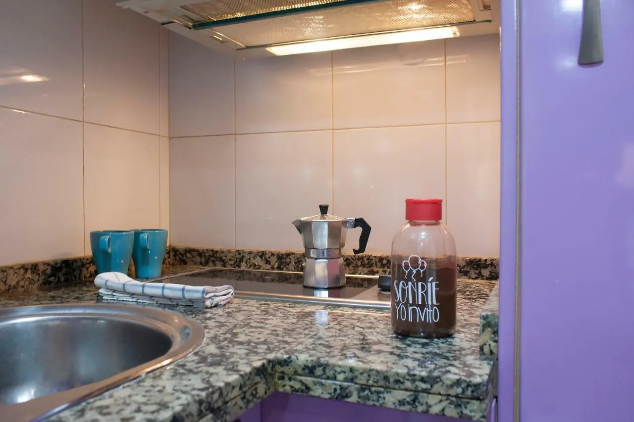 Loft In City Center Apartment Malaga