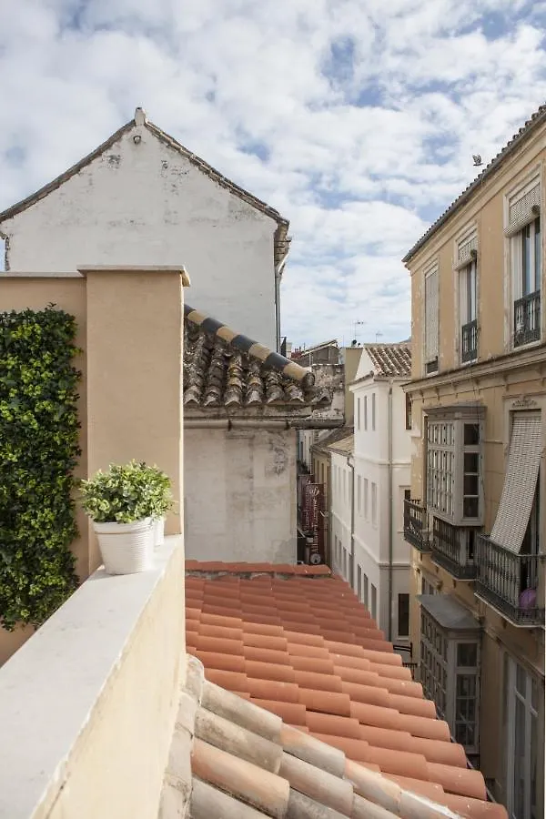 Loft In City Center Apartment Malaga 0*,  Spain