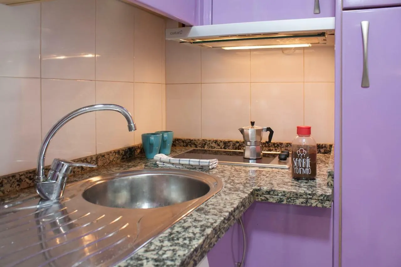 Loft In City Center Apartment Malaga
