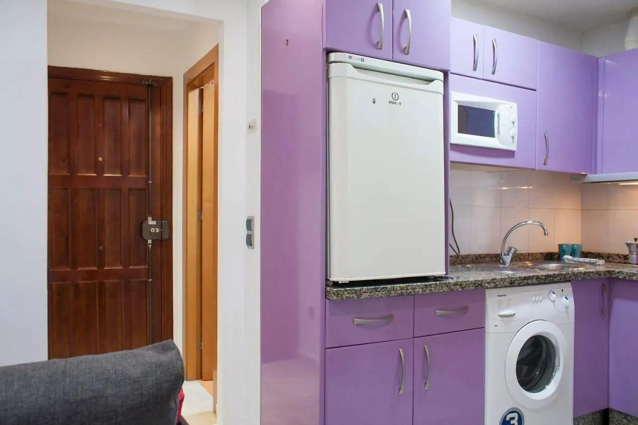 Loft In City Center Apartment Malaga