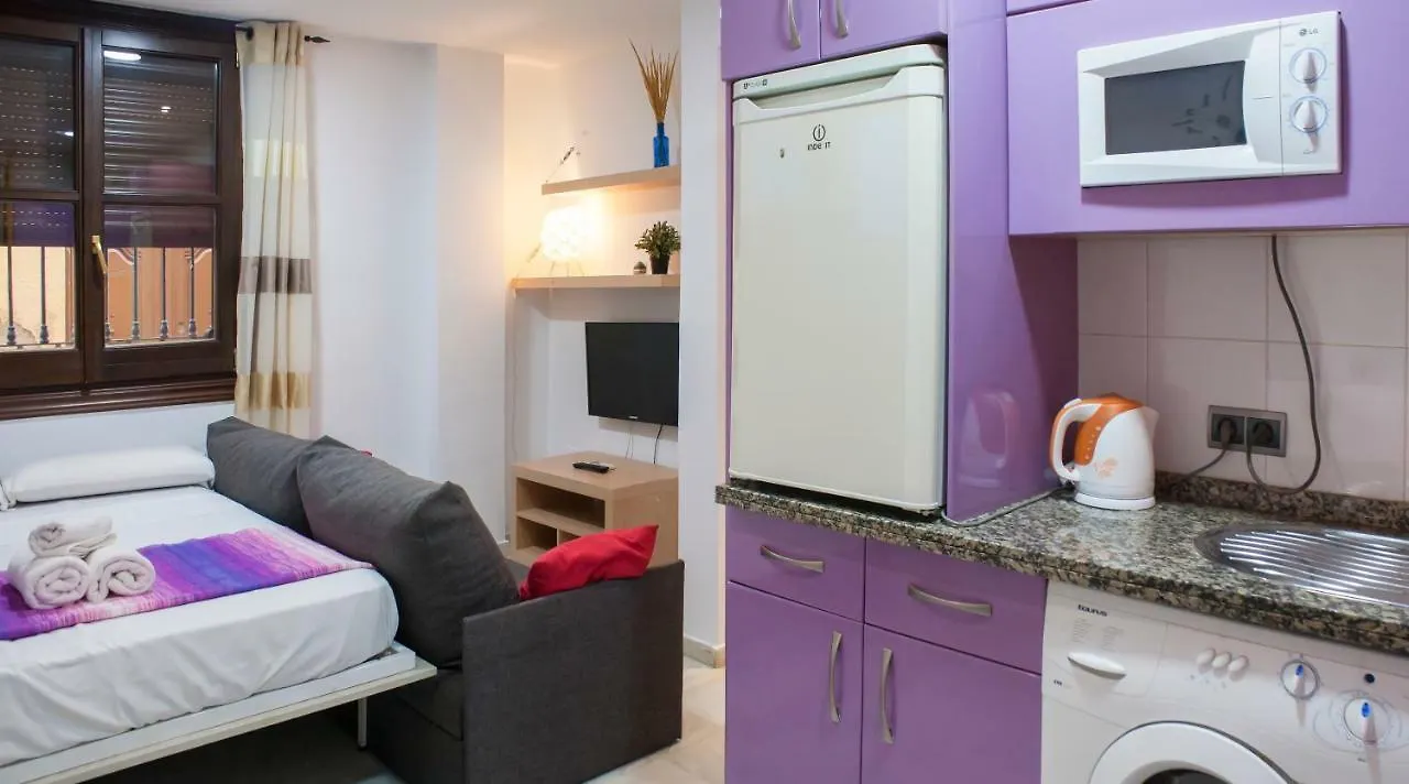 Loft In City Center Apartment Malaga