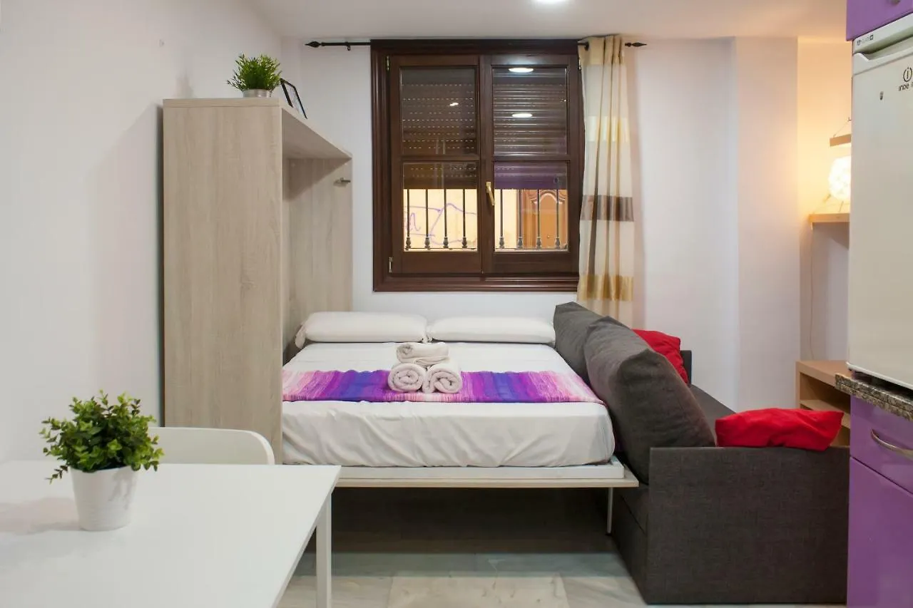 Loft In City Center Apartment Malaga