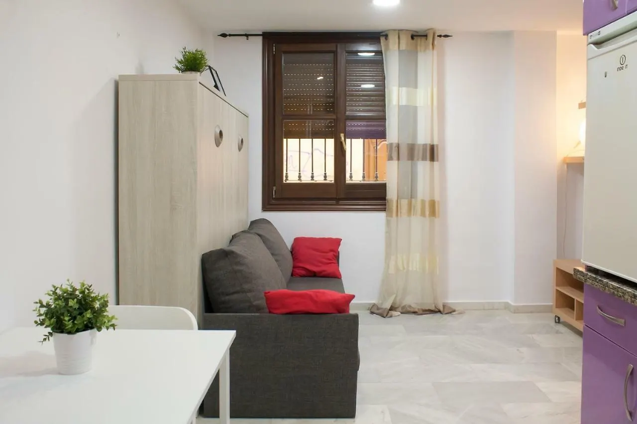 Loft In City Center Apartment Malaga Spain